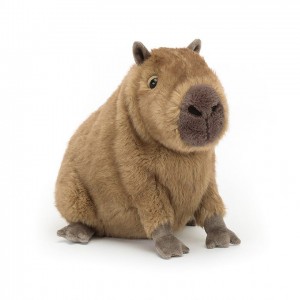 Jellycat Clyde Capybara | GFYAZK842